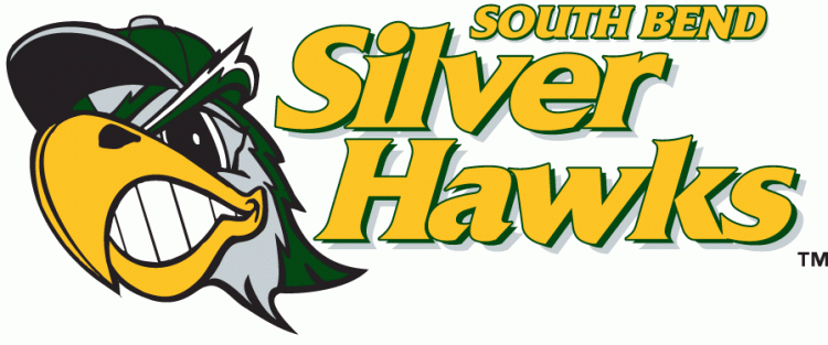 South Bend Silver Hawks 2009-pres primary logo iron on transfers for clothing